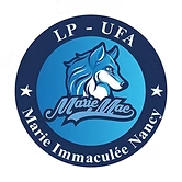 Logo MARIE IMMACULÉE
